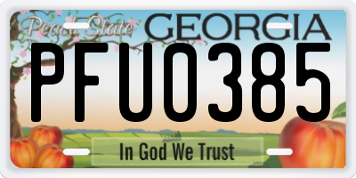 GA license plate PFU0385