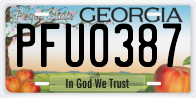 GA license plate PFU0387