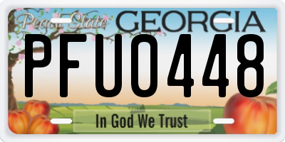 GA license plate PFU0448