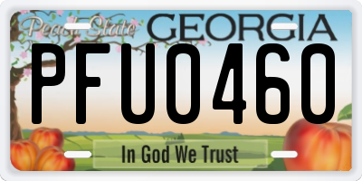 GA license plate PFU0460