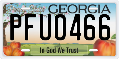 GA license plate PFU0466
