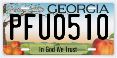 GA license plate PFU0510