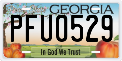 GA license plate PFU0529