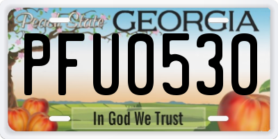 GA license plate PFU0530