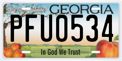GA license plate PFU0534