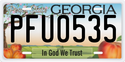 GA license plate PFU0535