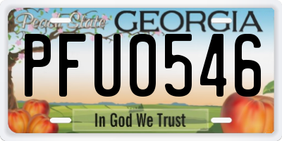 GA license plate PFU0546