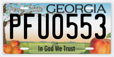 GA license plate PFU0553
