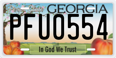 GA license plate PFU0554
