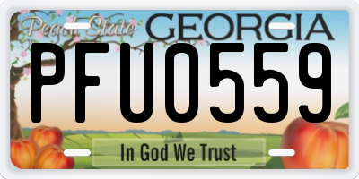 GA license plate PFU0559