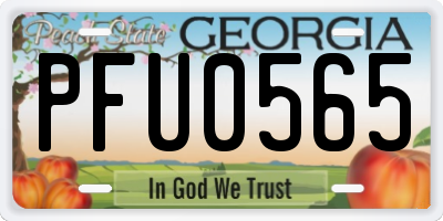 GA license plate PFU0565