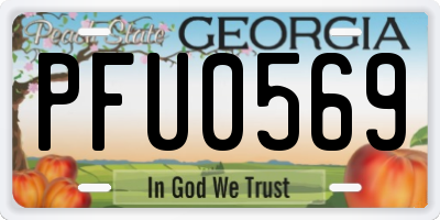 GA license plate PFU0569