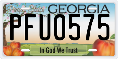 GA license plate PFU0575