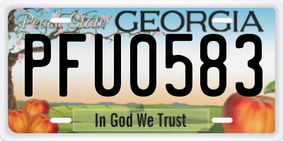 GA license plate PFU0583