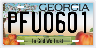 GA license plate PFU0601