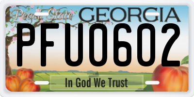 GA license plate PFU0602