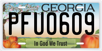 GA license plate PFU0609