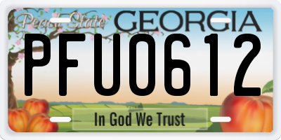 GA license plate PFU0612