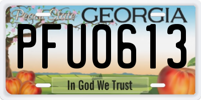 GA license plate PFU0613