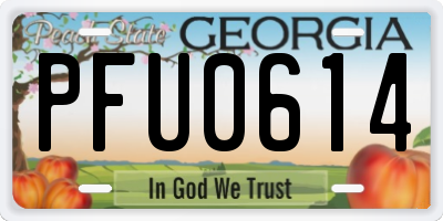 GA license plate PFU0614