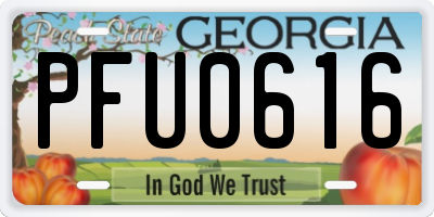 GA license plate PFU0616