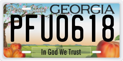 GA license plate PFU0618