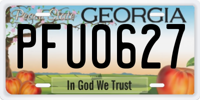 GA license plate PFU0627