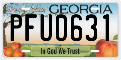 GA license plate PFU0631