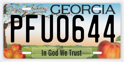 GA license plate PFU0644