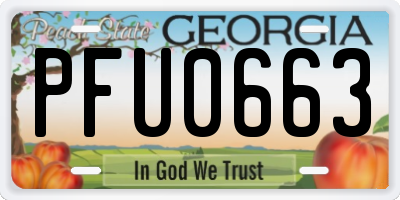GA license plate PFU0663