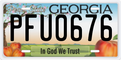 GA license plate PFU0676