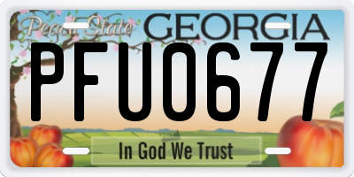 GA license plate PFU0677