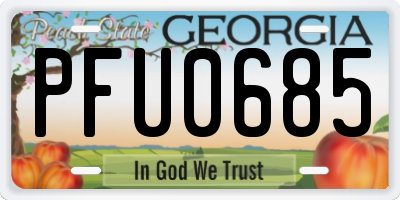GA license plate PFU0685