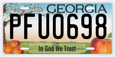 GA license plate PFU0698