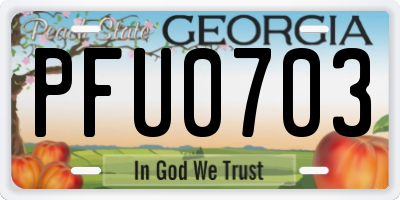GA license plate PFU0703
