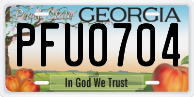 GA license plate PFU0704