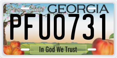 GA license plate PFU0731