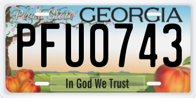 GA license plate PFU0743