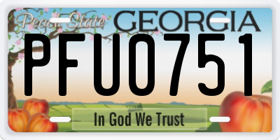 GA license plate PFU0751