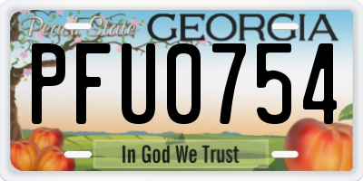 GA license plate PFU0754