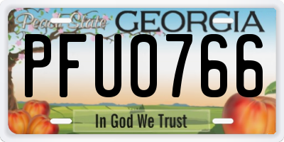 GA license plate PFU0766