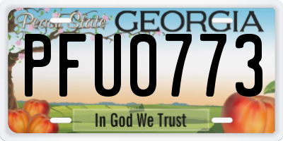 GA license plate PFU0773