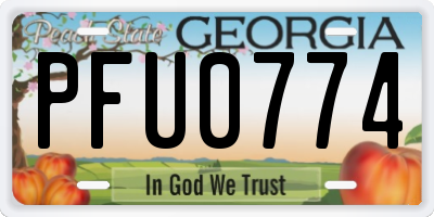 GA license plate PFU0774