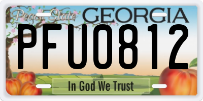 GA license plate PFU0812