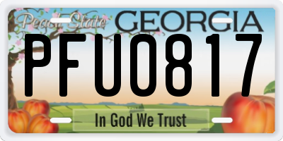 GA license plate PFU0817