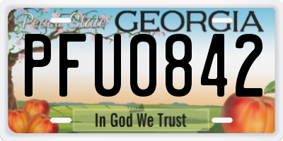 GA license plate PFU0842