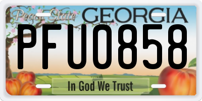 GA license plate PFU0858