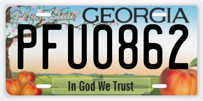 GA license plate PFU0862