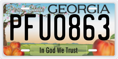 GA license plate PFU0863
