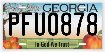 GA license plate PFU0878